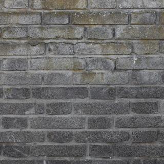 Photo Textures of Wall Bricks